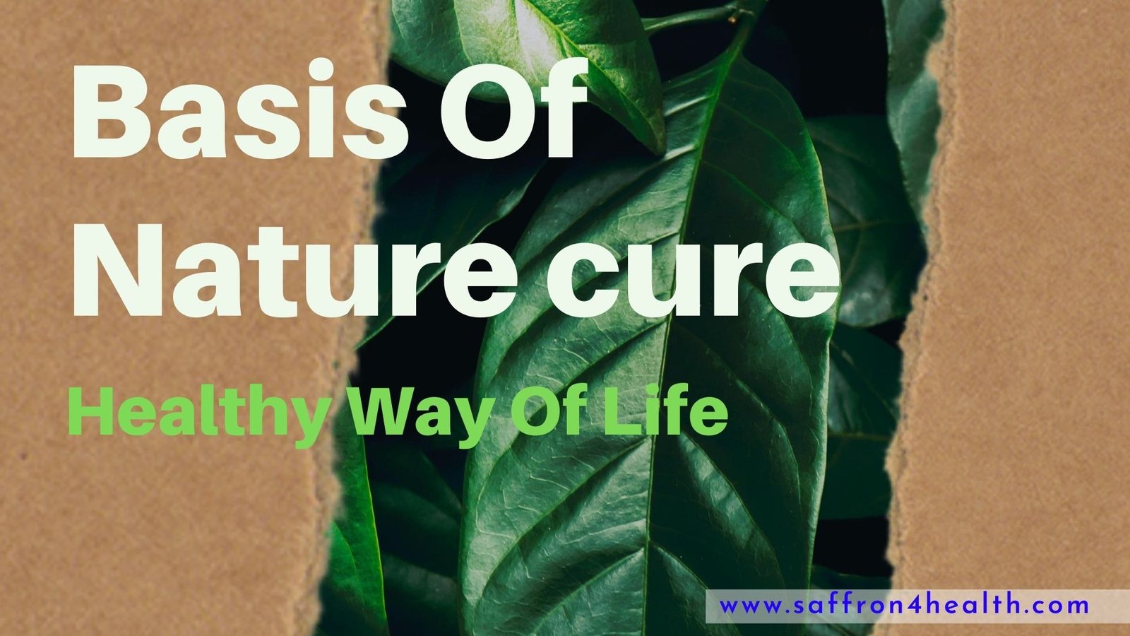 Nature cure & Its Basis