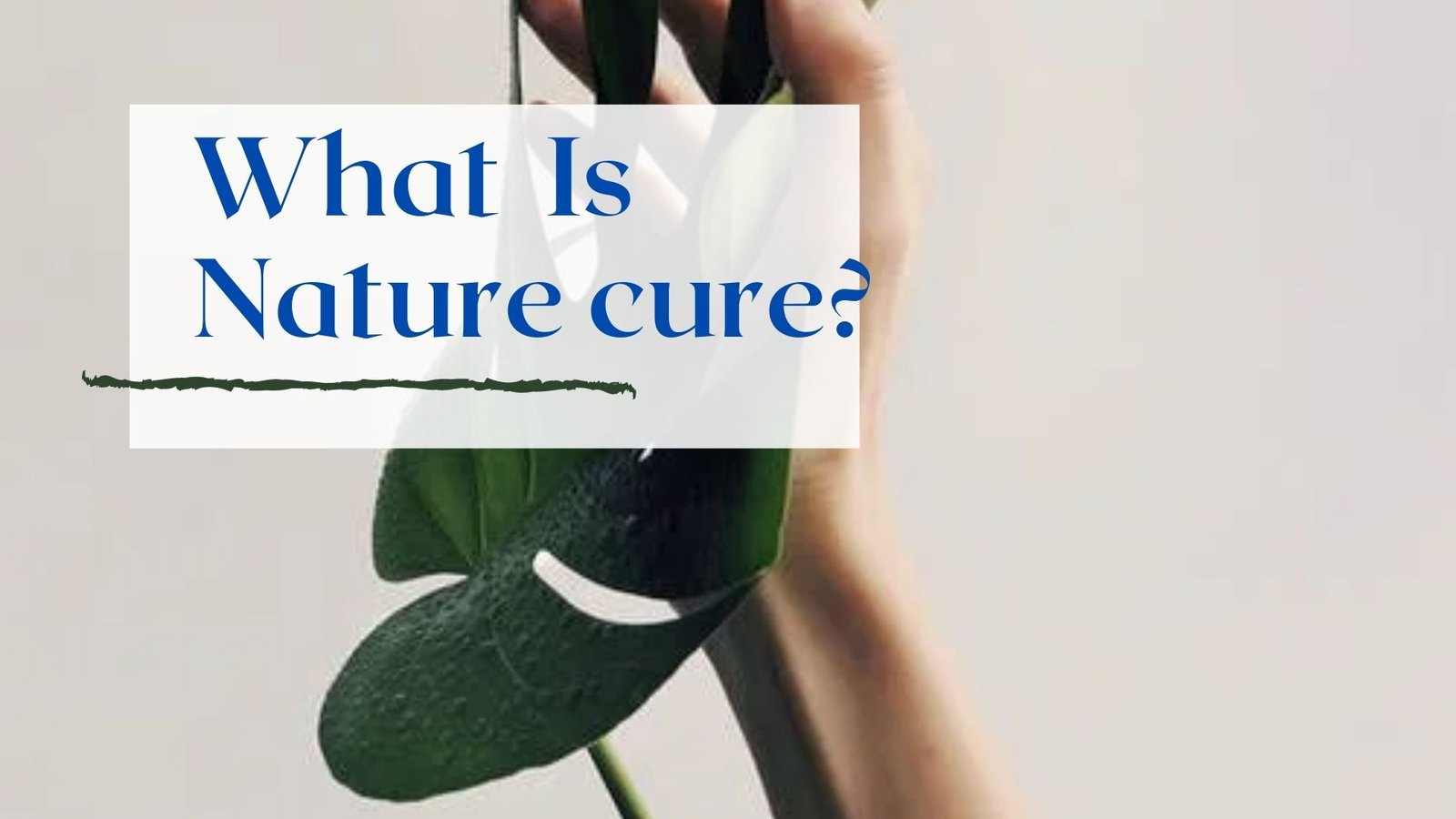 WHAT IS NATURECURE Saffron4health