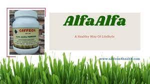 download (15) - Saffron4health