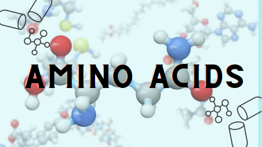 AMAZING POWER OF AMINO ACIDS