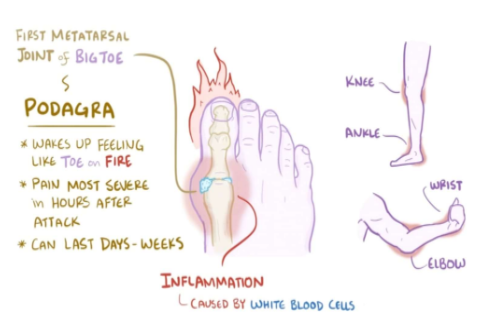 Capture3 - Saffron4health