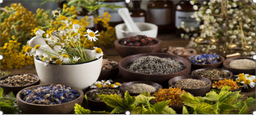 Capture 4 - Saffron4health