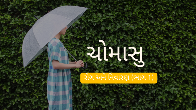 વરસાદી ઋતુ: રોગો અને નિવારણ