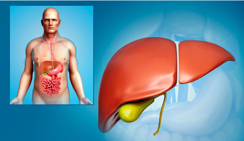 Screenshot 2024-10-28 124902 - Saffron4health