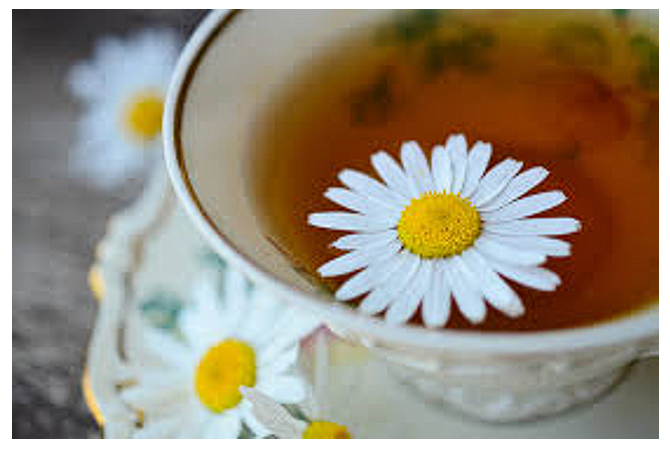 5 - Saffron4health