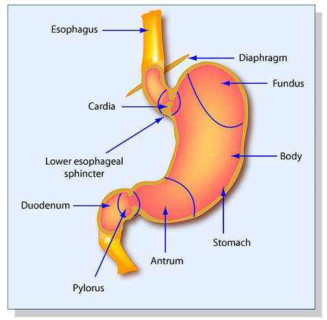 Screenshot 2025-08-25 111454 - Saffron4health