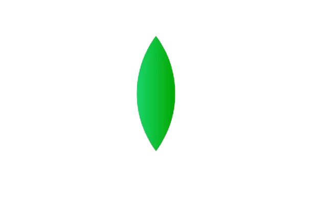 leafff-removebg-preview