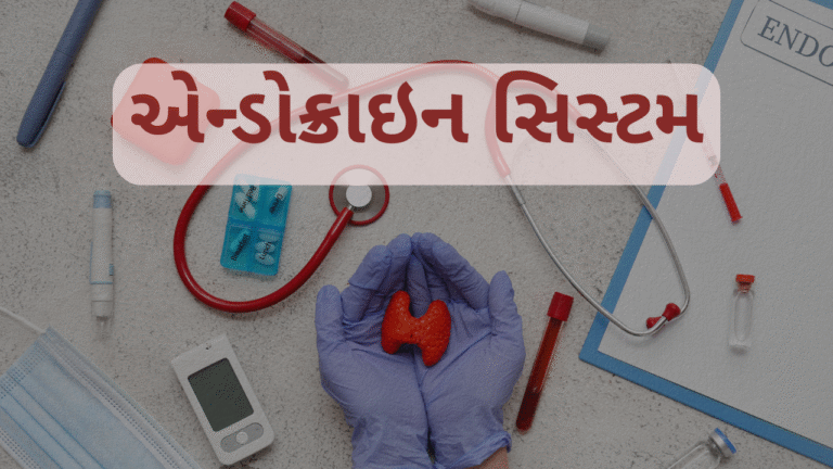 એન્ડોક્રાઇન સિસ્ટમ