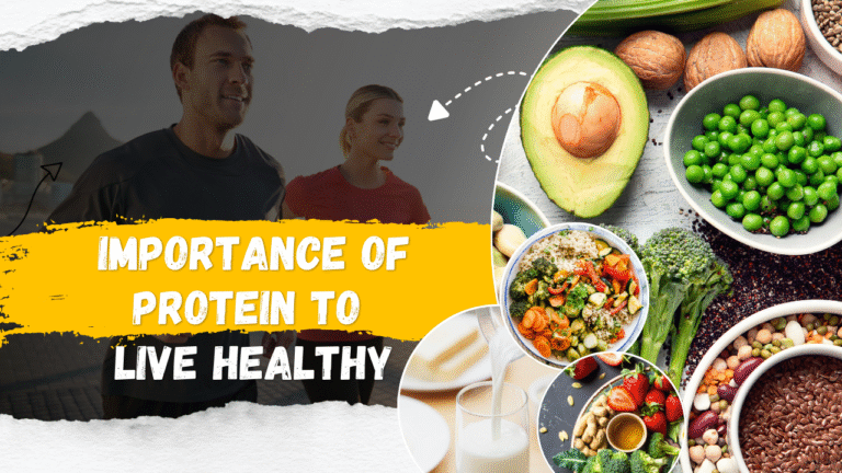 Importance of Protein to Live Healthy