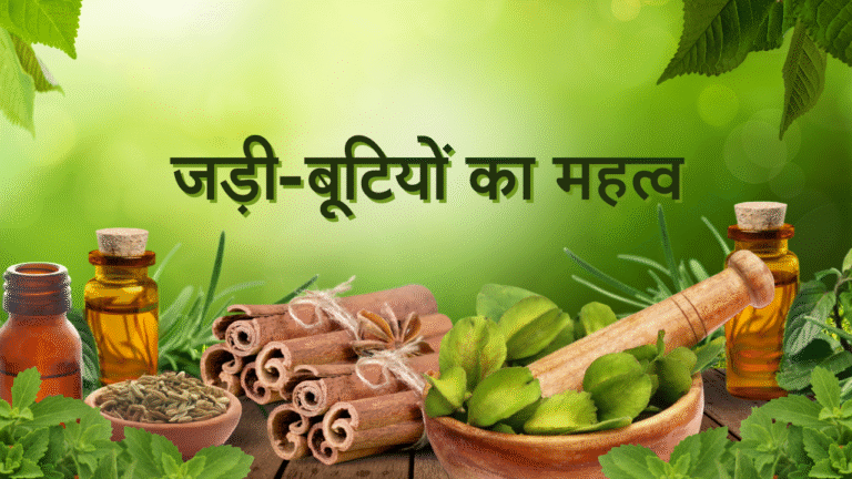 जड़ी-बूटियों का महत्व