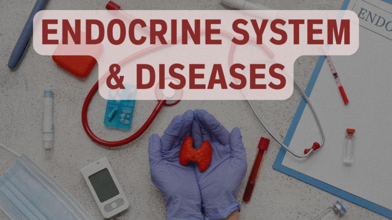 ENDOCRINE SYSTEM AND DISEASES
